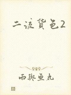 二流货色2