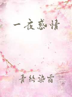 一夜惑情