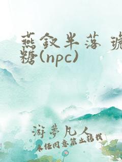 燕钗半落 琥珀糖(npc)
