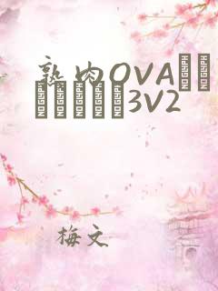 熟肉OVAちゃんはしたい3V2