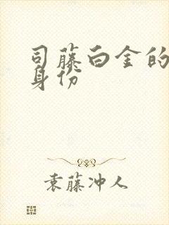 司藤白金的真实身份