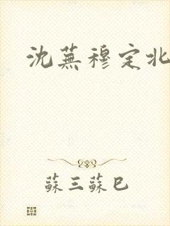 沈芜穆定北小说