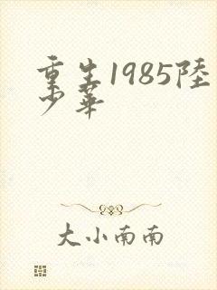 重生1985陆少华
