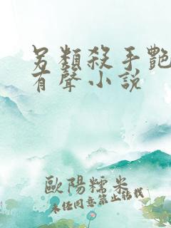 另类杀手艳福星有声小说