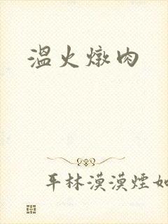 温火炖肉