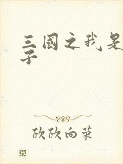 三国之我是皇太子