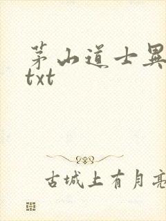 茅山道士异界游txt