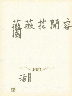 薇薇花开容颜倾国