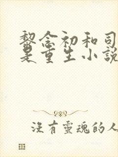 黎念初和司慕城是重生小说