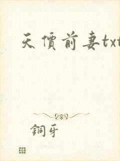 天价前妻txt