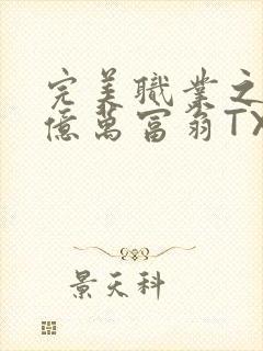 完美职业之我是亿万富翁TXT