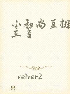 小和尚直挺挺的立着