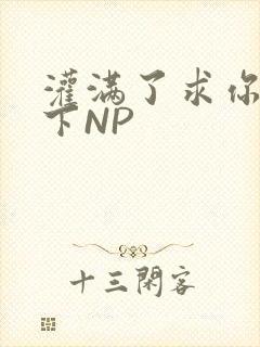 灌满了求你们停下NP