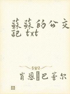 苏苏的公交车日记 txt