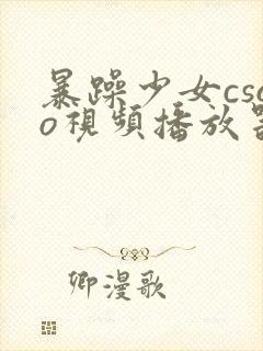 暴躁少女csgo视频播放器推荐