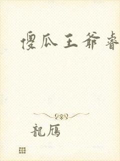 傻瓜王爷睿智妃