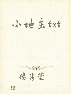 小地主txt