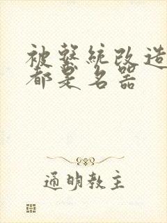 被系统改造全身都是名器