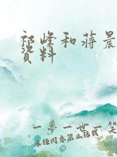 祁峰和蒋晨个人资料