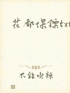 花都保镖txt