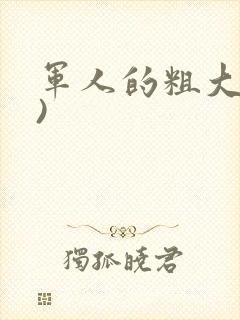 军人的粗大(h)
