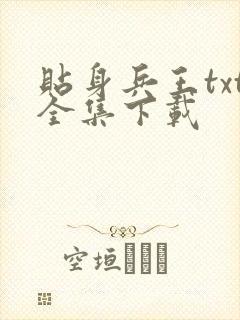 贴身兵王txt全集下载