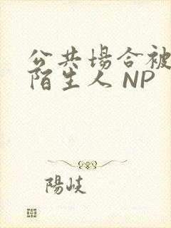 公共场合被各种陌生人 NP