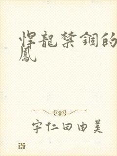 悍龙禁锢的小野凤