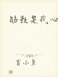 助教是我心尖宠