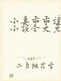 小妻乖乖让我宠小说全文免费阅读