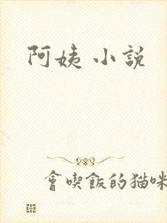 阿姨 小说