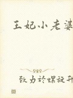 王妃小老婆