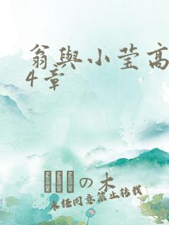 翁与小莹高潮24章