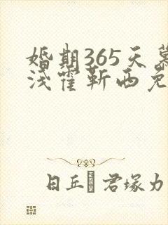 婚期365天慕浅霍靳西免费阅读