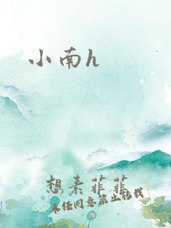 小南h