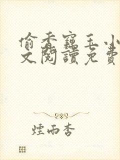 偷香窃玉小说全文阅读免费