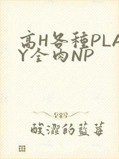 高H各种PLAY全肉NP