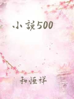 小说500