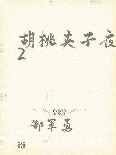 胡桃夹子夜未眠2