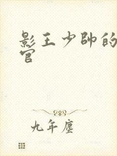 影王少帅的女长官