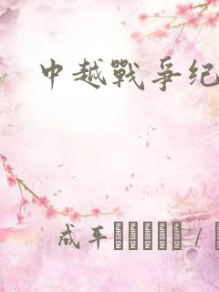 中越战争纪实录