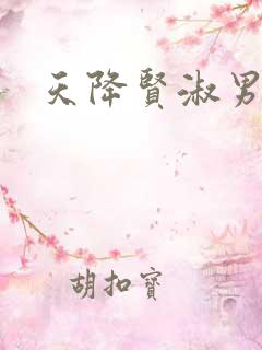 天降贤淑男小说