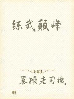 练武颠峰