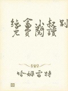 纯禽小叔别太猛免费阅读