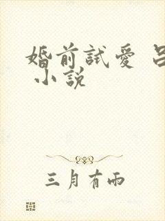 婚前试爱 吕颜 小说