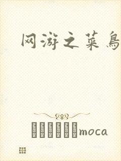 网游之菜鸟江湖