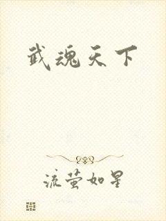 武魂天下