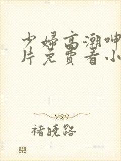 少妇高潮呻吟A片免费看小说