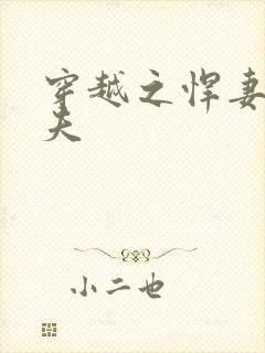 穿越之悍妻共三夫