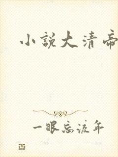 小说大清帝国